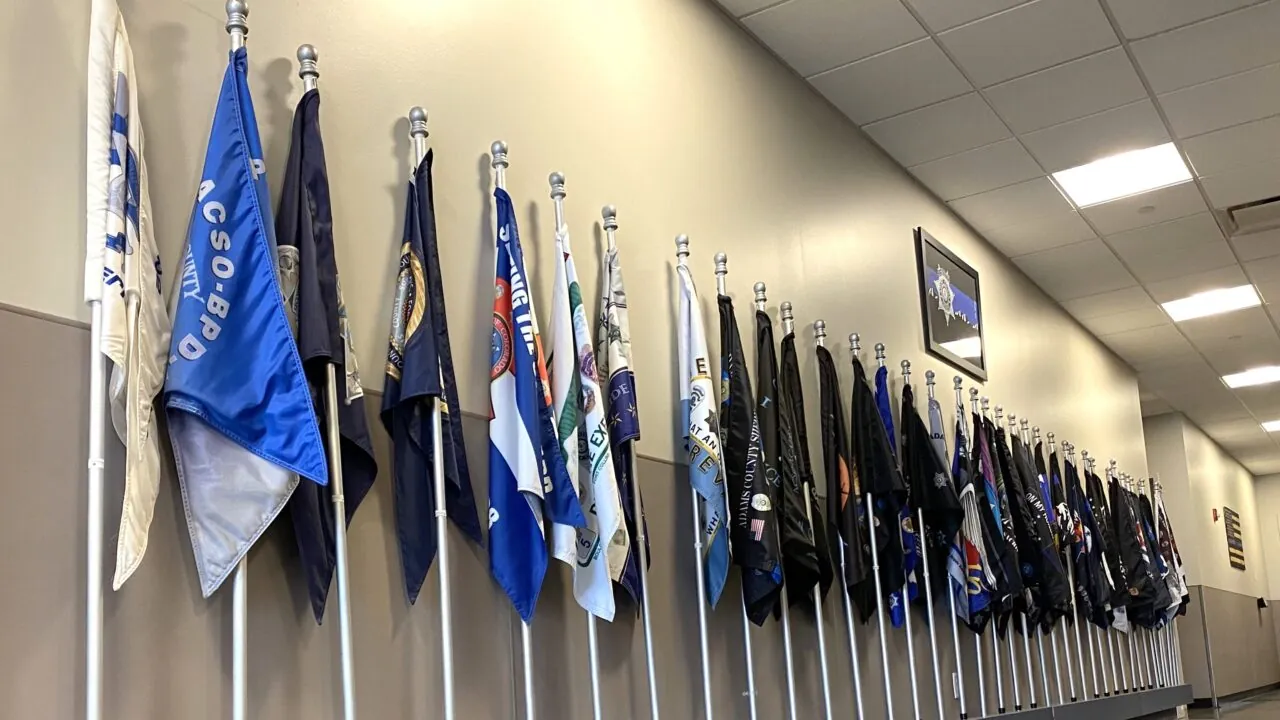 Row of various flags displayed on wall-mounted poles in a hallway.